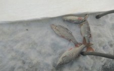Фото рыбалки в Кленно 10