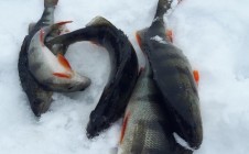 Фото рыбалки в Калевальский район 4