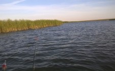 Фото рыбалки в Новокачановский 4