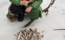 Фото рыбалки в Нововодолажский район 0
