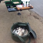 Фото рыбалки в Амур Белый, Окунь, Сазан, Сом, Судак 7