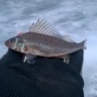 Фото рыбалки в Броницьке озеро 9