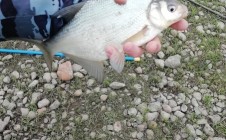 Фото рыбалки в Яшкинский муниципальный округ 10