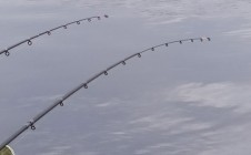 Фото рыбалки в Юркино, Юринский район 3