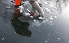 Фото рыбалки в Сотниково, Наро-Фоминский городской округ 2