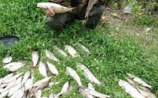 Фото рыбалки в Гаринский городской округ 6
