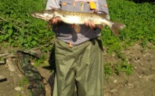 Фото рыбалки в Ярославская область 2