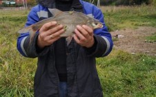 Фото рыбалки в Софьино, Раменский городской округ 8