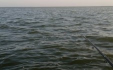 Фото рыбалки в Приморско-Ахтарский район 1