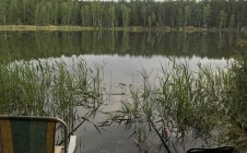 Фото рыбалки в Ордынский район 4