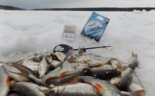 Фото рыбалки в Павловск, Павловский район 0
