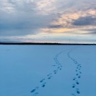 Фото рыбалки в Окунь 5