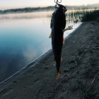 Фото рыбалки в Судак 0