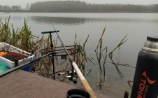 Фото рыбалки в Приозёрная, Чаусский район 1