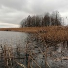 Фото рыбалки в Сом канальный 1