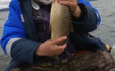Фото рыбалки в городской округ Полярные Зори 3