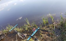 Фото рыбалки в Новооскольский городской округ 1