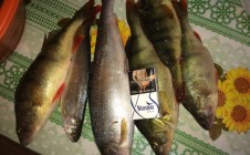 Фото рыбалки в Кабанский район 7