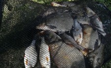 Фото рыбалки в Каменное, Грязинский район 5