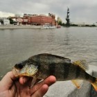 Фото рыбалки в Берш 5