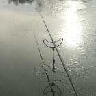 Фото рыбалки в Сом канальный 5
