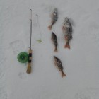 Фото рыбалки в Щука 4