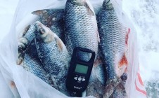 Фото рыбалки в Юркино, городской округ Сокольский 3