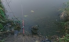 Фото рыбалки в Ильич 8