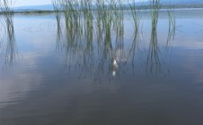 Фото рыбалки в Нейво-Рудянка 3