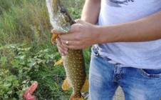 Фото рыбалки в Дебальцевский городской совет 0