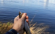Фото рыбалки в Красноярск 8