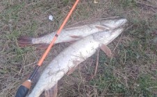 Фото рыбалки в Корочанский район 10