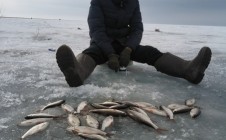 Фото рыбалки в Кокпектинский район 5