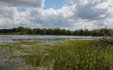 Фото рыбалки в Гурьевский муниципальный округ 0