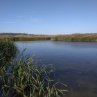 Фото рыбалки в Амур Белый, Толстолоб 0