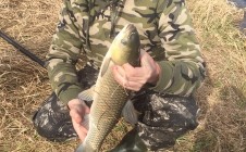 Фото рыбалки в Кузбасский 5