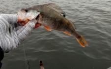 Фото рыбалки в Харьков 2