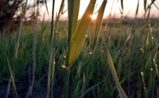 Фото рыбалки в Кваркенский район 11