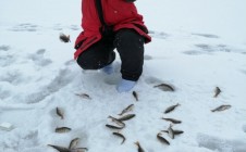 Фото рыбалки в городской округ Губаха 5