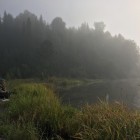 Фото рыбалки в Елец, Ерш 2