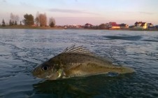 Фото рыбалки в Волынская область 0