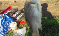 Фото рыбалки в Чикча 3