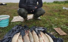 Фото рыбалки в Ханты-Мансийский район 7