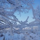 Фото рыбалки в Сом канальный 0