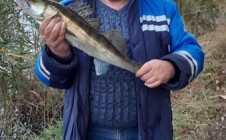 Фото рыбалки в Остров, Ленинский городской округ 1