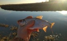 Фото рыбалки в Кледневичи 8