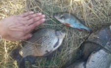 Фото рыбалки в Кабырдак 7