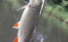 Фото рыбалки в Генино 7