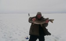 Фото рыбалки в Федоровский 6
