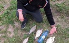 Фото рыбалки в Красноярка, Омский район 1